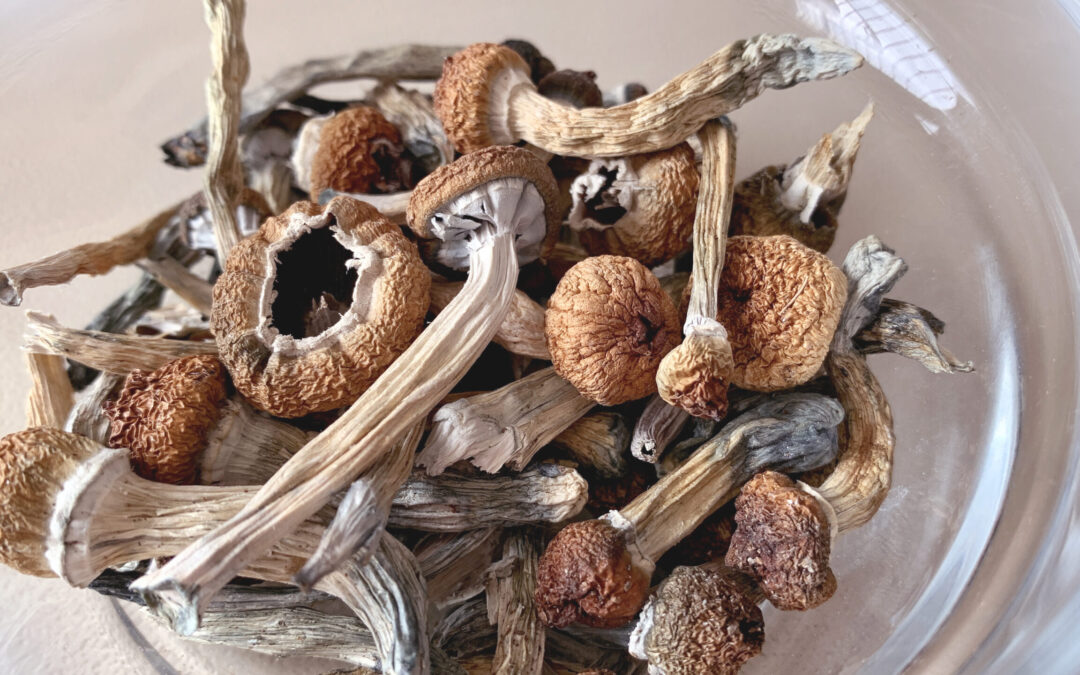 How to Find High-Quality Magic Mushrooms for Sale in the US