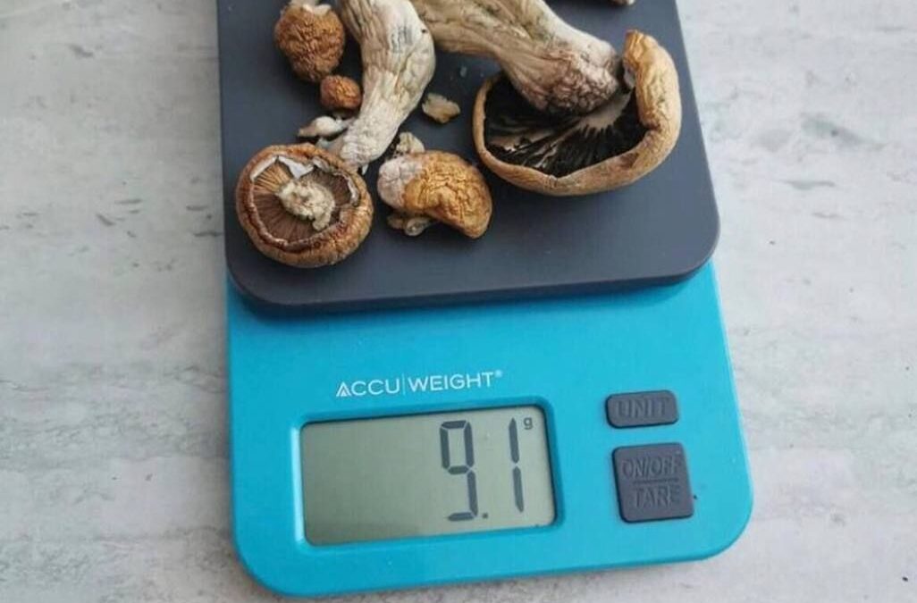 Why Do Some Psychonauts Experience Life-Changing Epiphanies on Mushrooms?