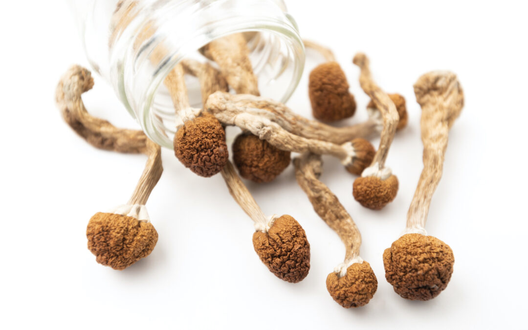 What are some tips for consuming magic mushrooms safely and responsibly?