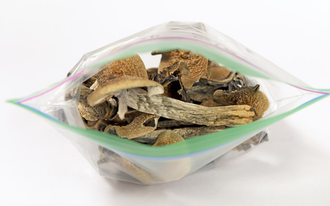 What are the potential health risks of consuming low-quality psilocybin mushrooms